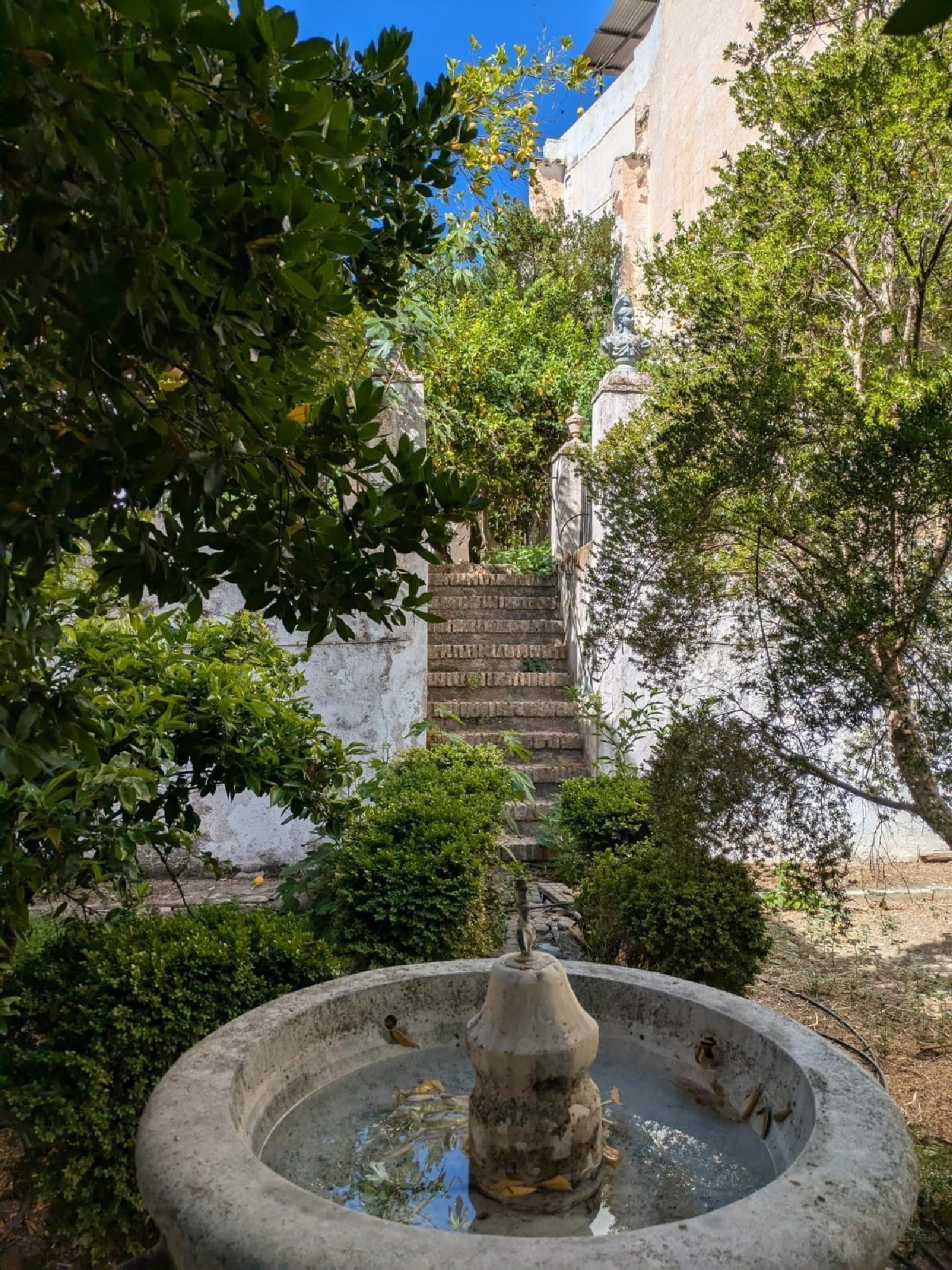  till salu hus Priego De Córdoba Subbética 4