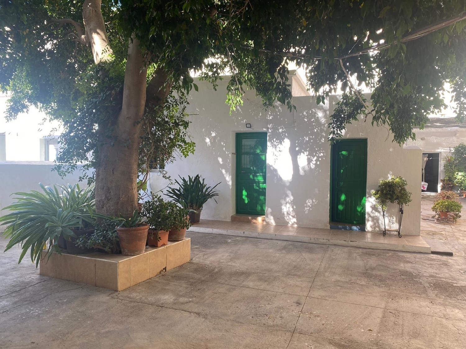 kaufen Haus Roquetas De Mar Poniente Almeriense 6