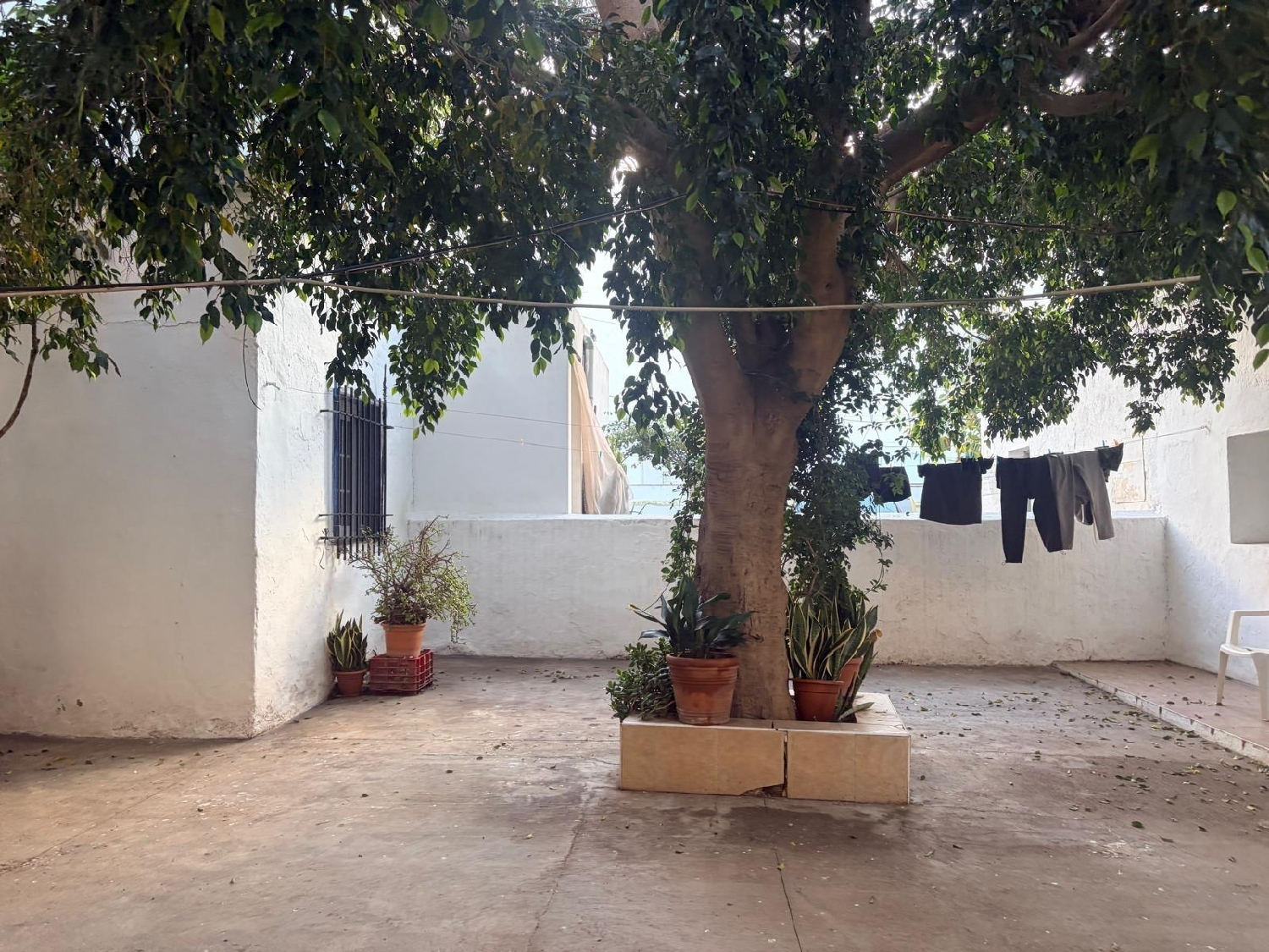 kaufen Haus Roquetas De Mar Poniente Almeriense 5