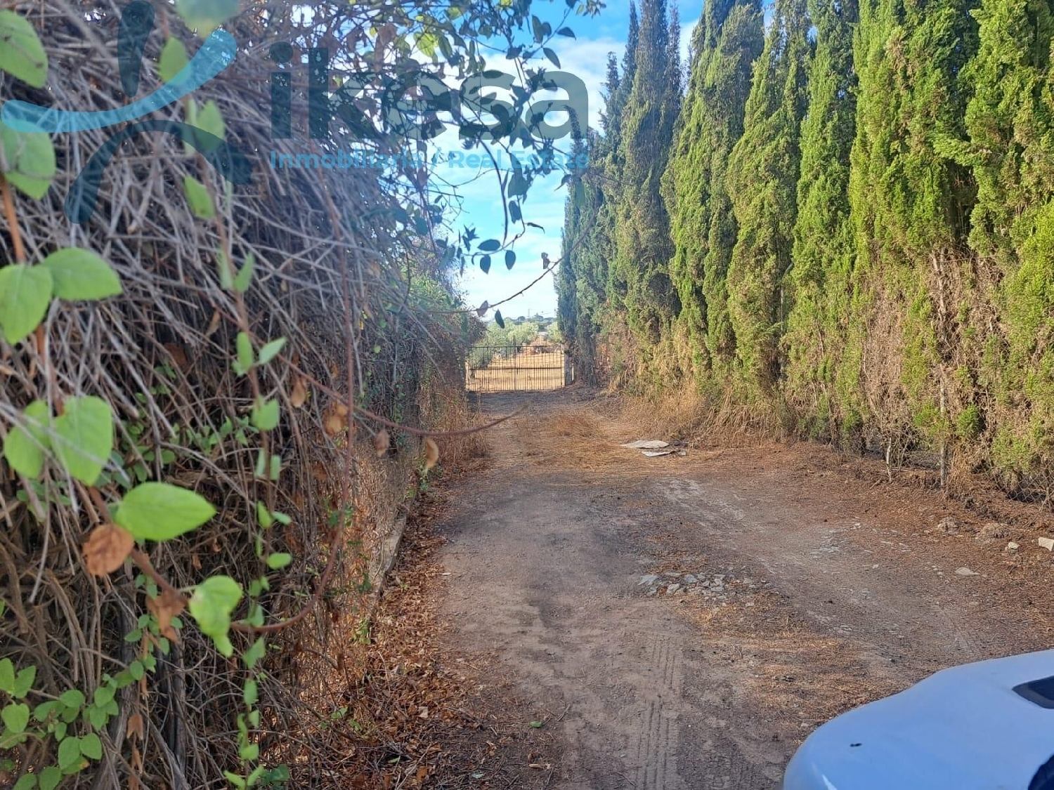  en venta casa San Bartolome De La Torre Andévalo (El) 5