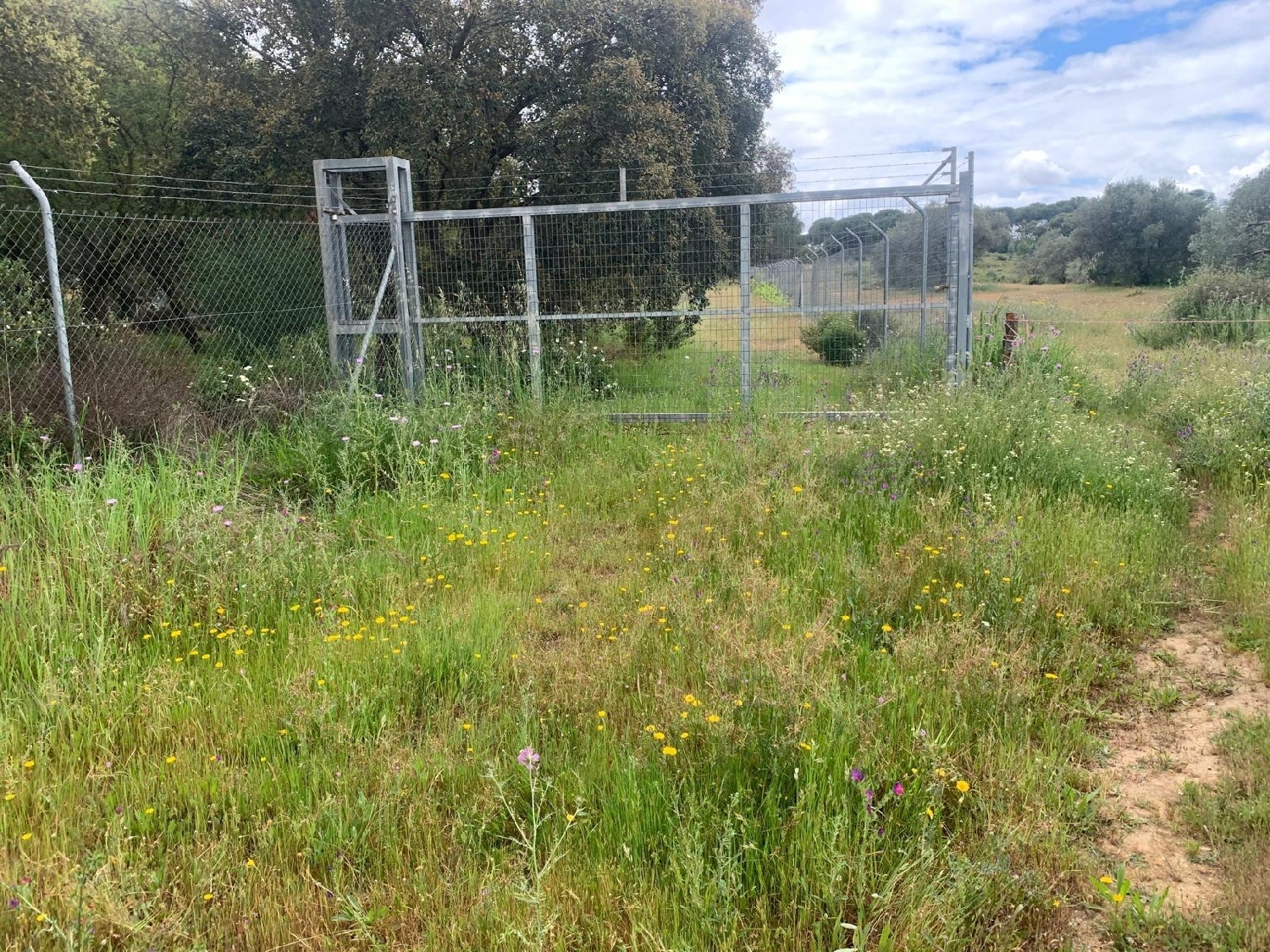  till salu hus San Bartolome De La Torre Andévalo (El) 2