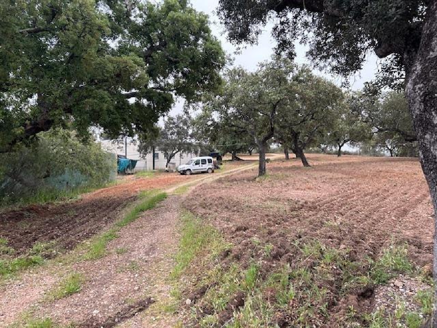 till salu hus San Bartolome De La Torre Andévalo (El) 3