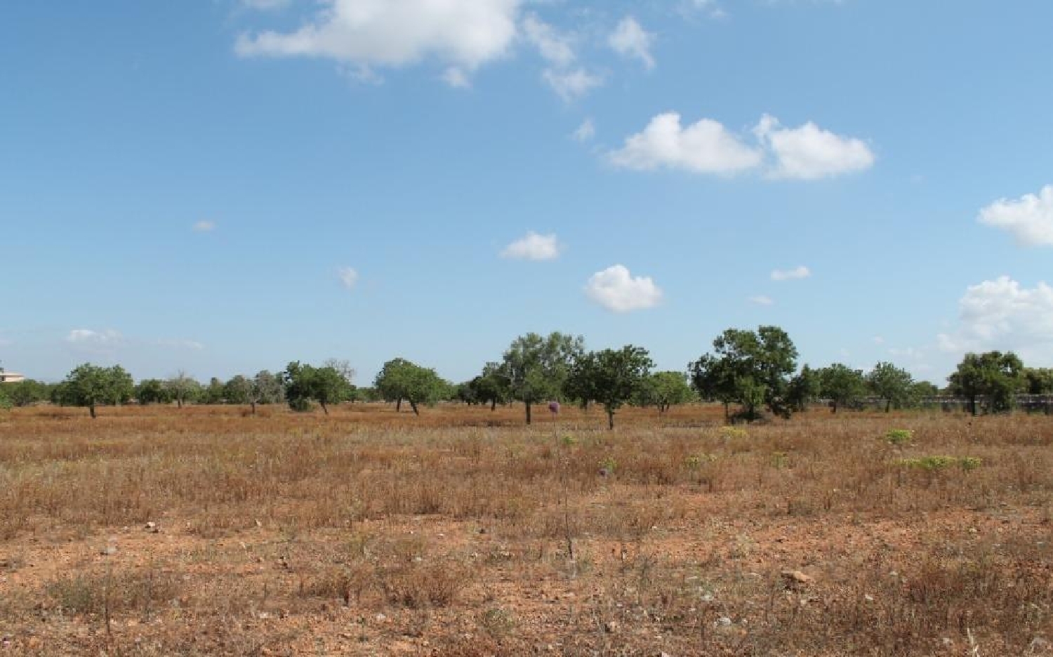 for sale house Santanyí Sud 1