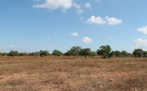 Santanyí Sud house foto 6352685