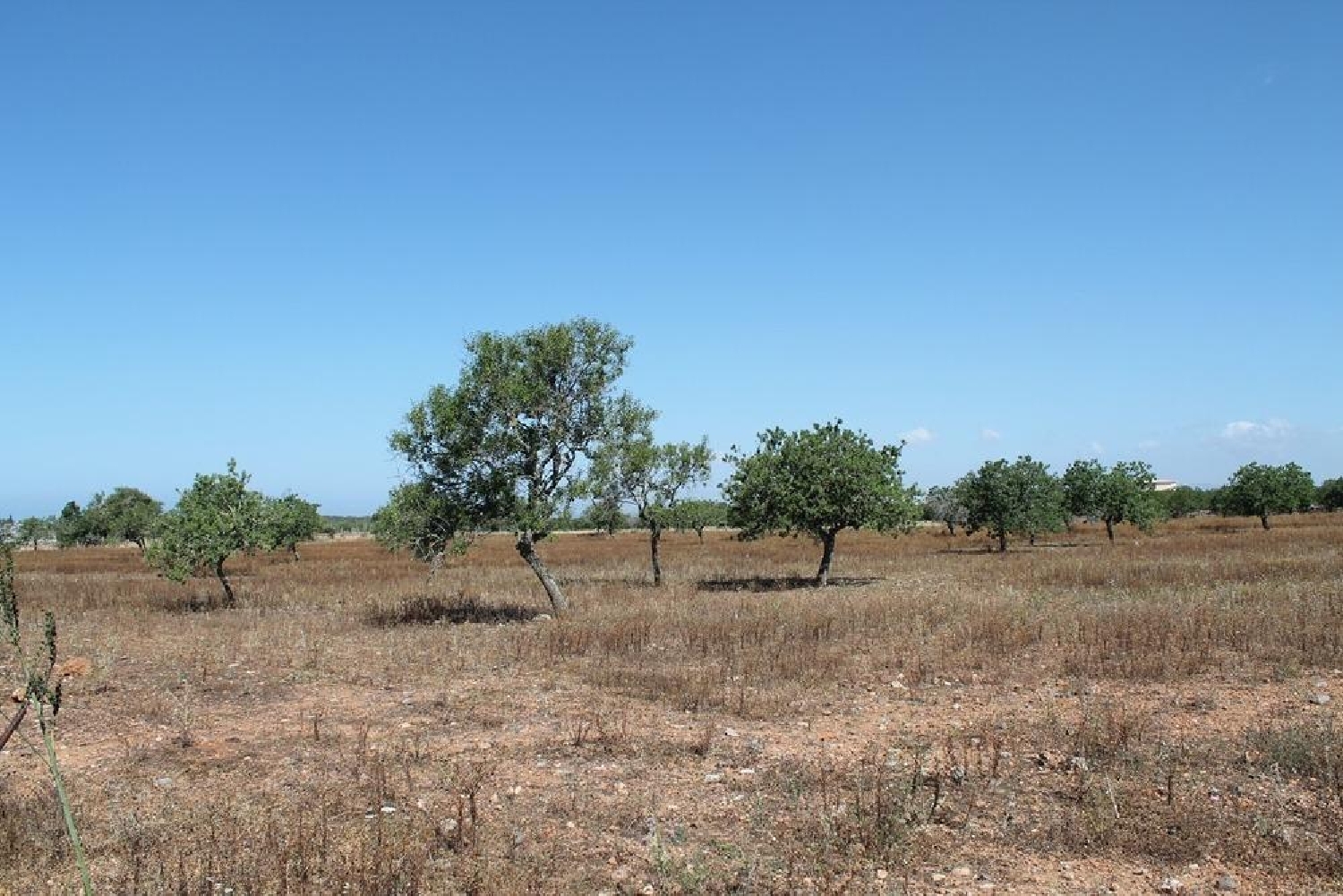 for sale house Santanyí Sud 3