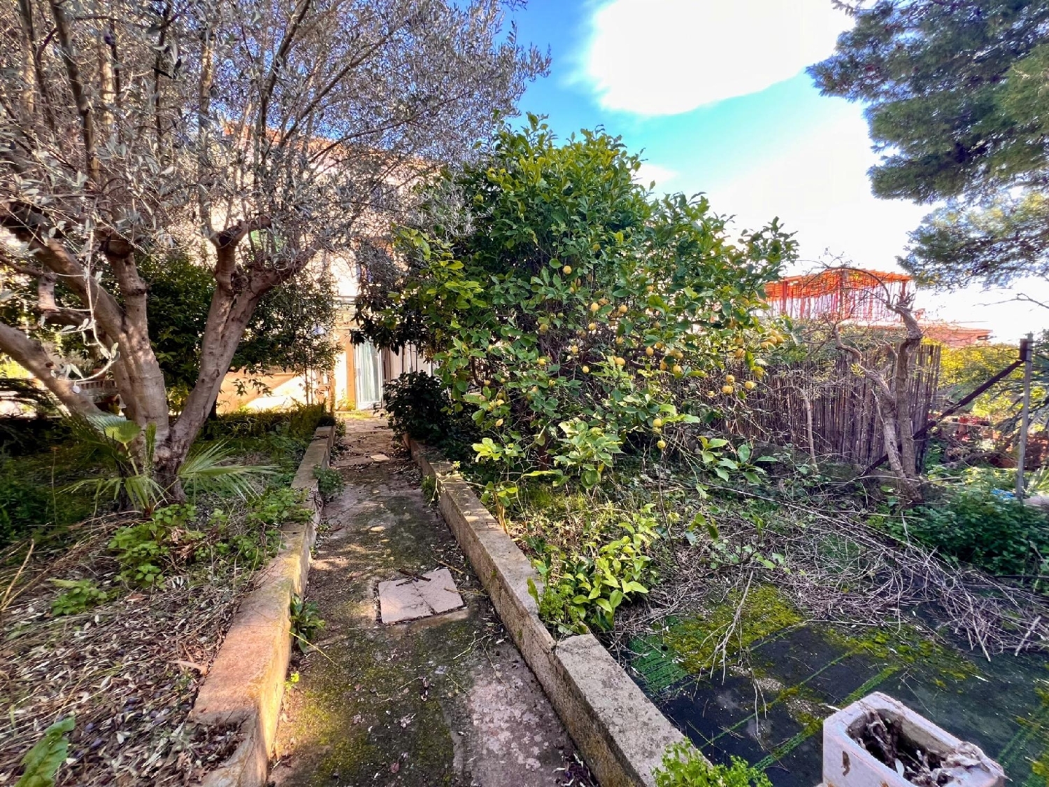  à vendre maison Selva Raiguer 5