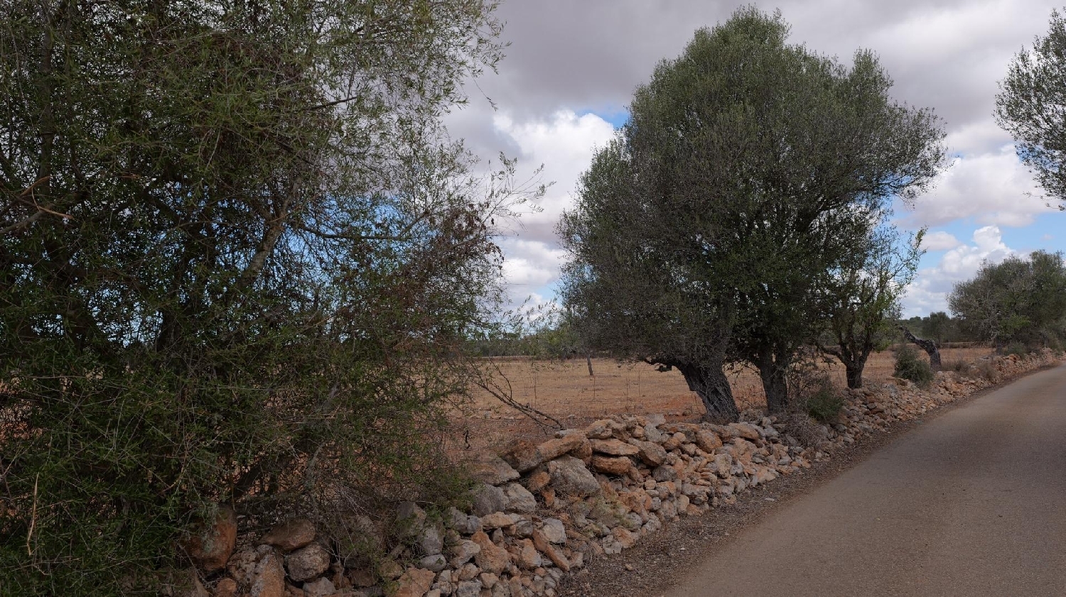  en venta casa Ses Salines Sud 5