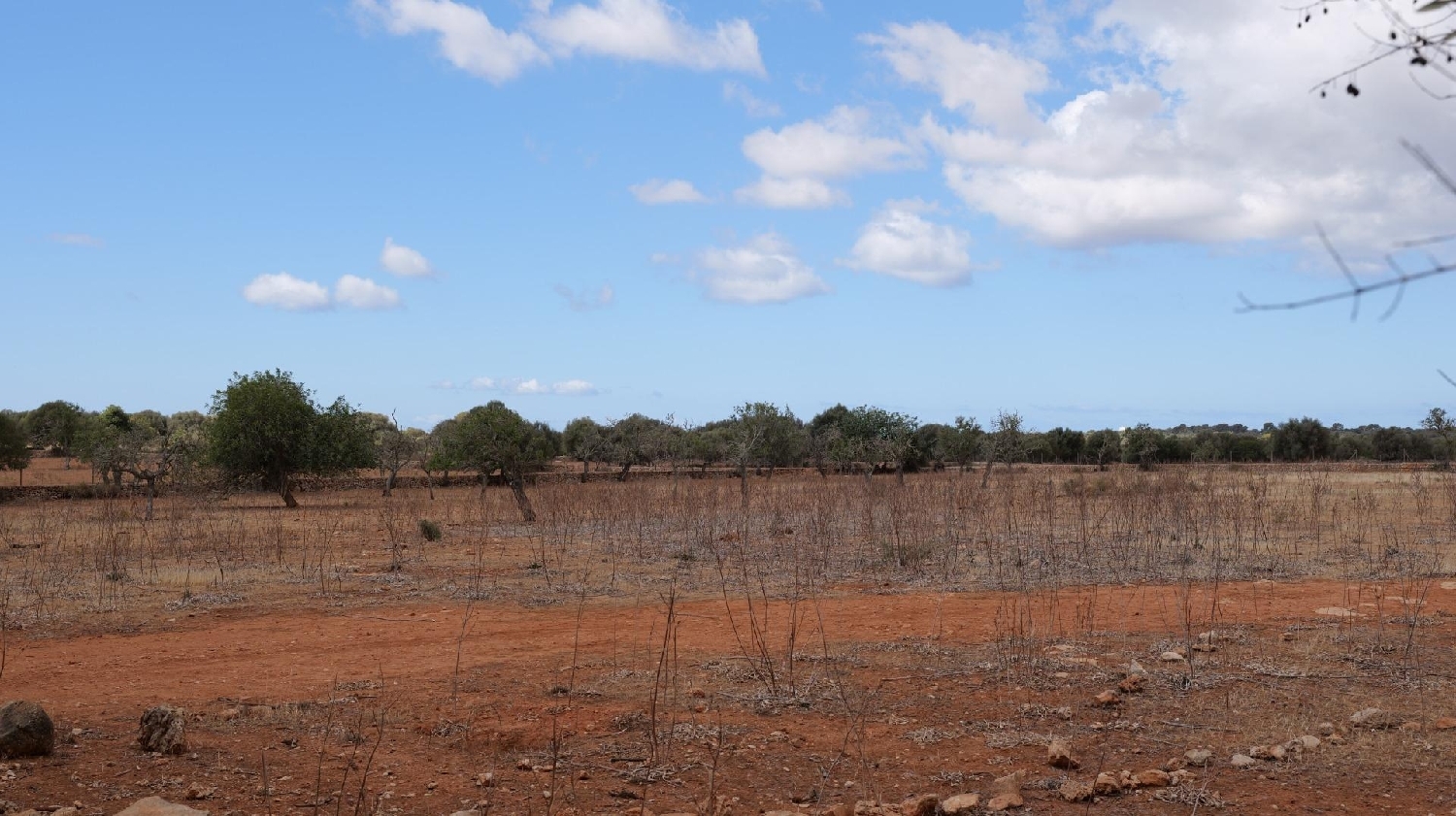  en venta casa Ses Salines Sud 8