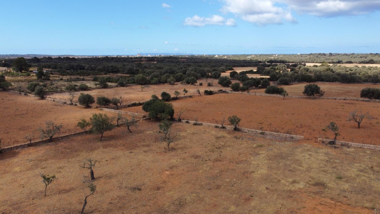  en venta casa Ses Salines Sud 3