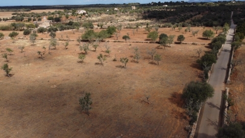 Ses Salines Sud casa foto 6352682