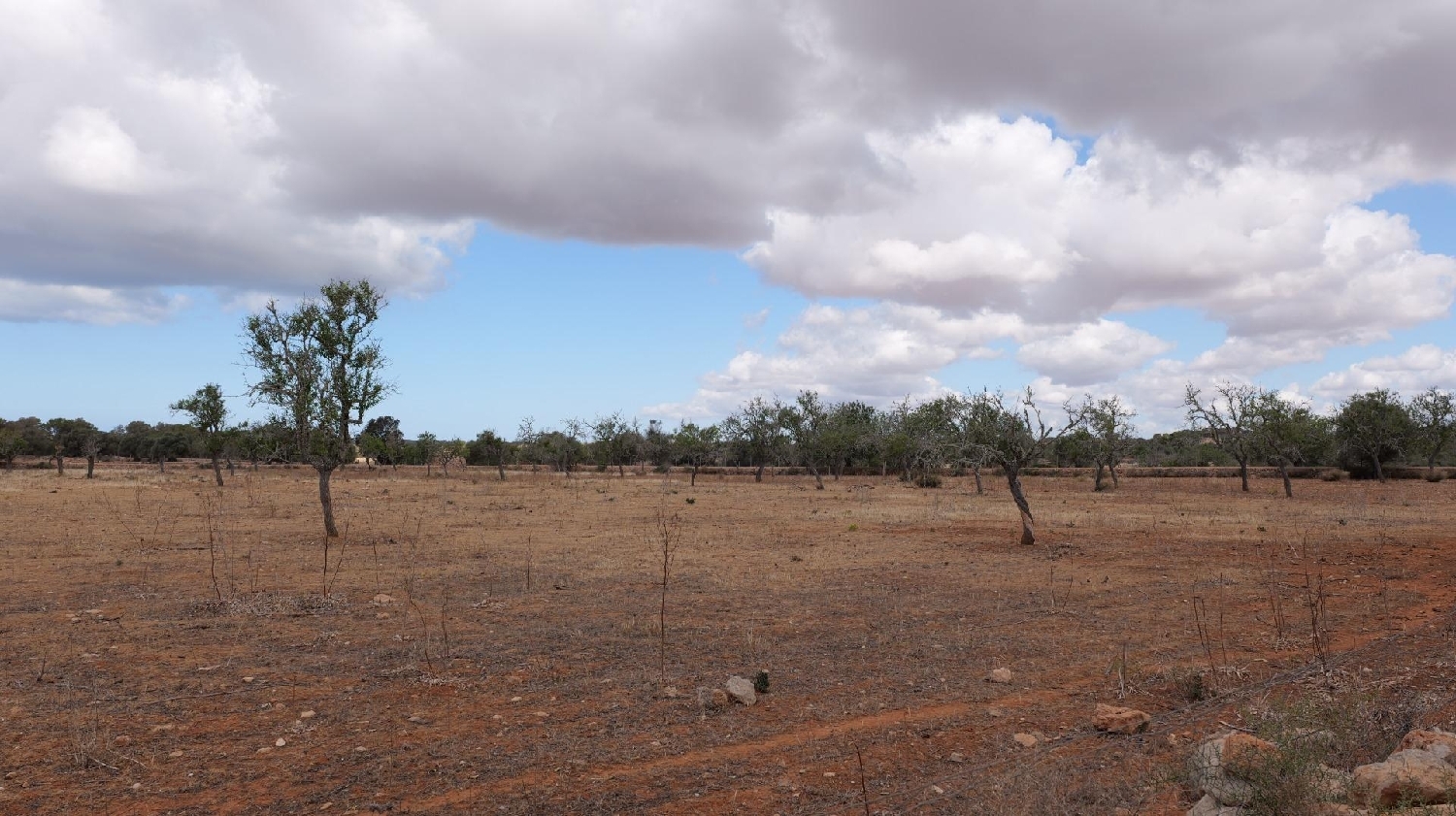  en venta casa Ses Salines Sud 6