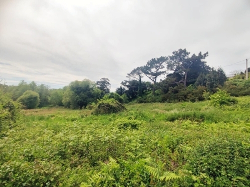 Tapia De Casariego Eo-Navia Haus Bild 6343358