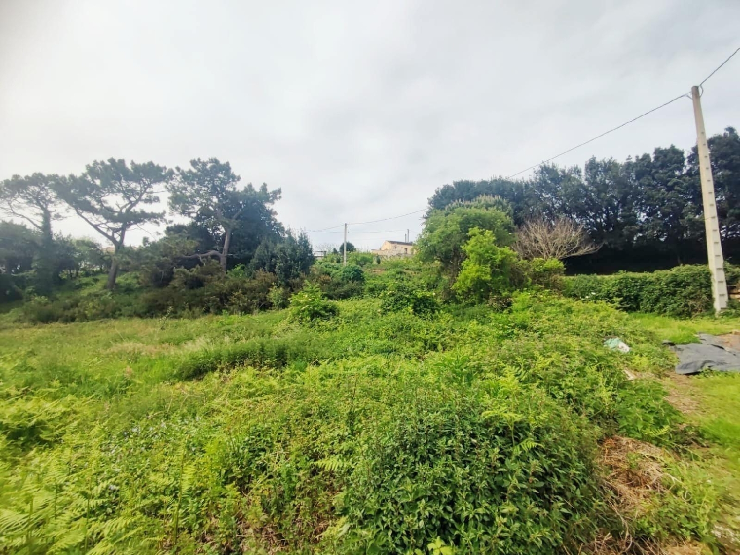  kaufen Haus Tapia De Casariego Eo-Navia 2