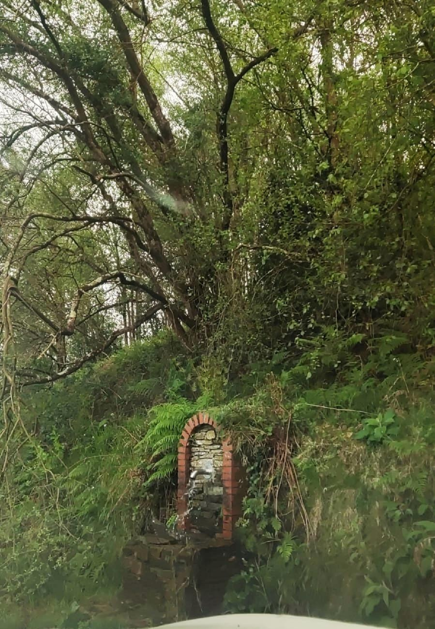  kaufen Haus Tapia De Casariego Eo-Navia 5