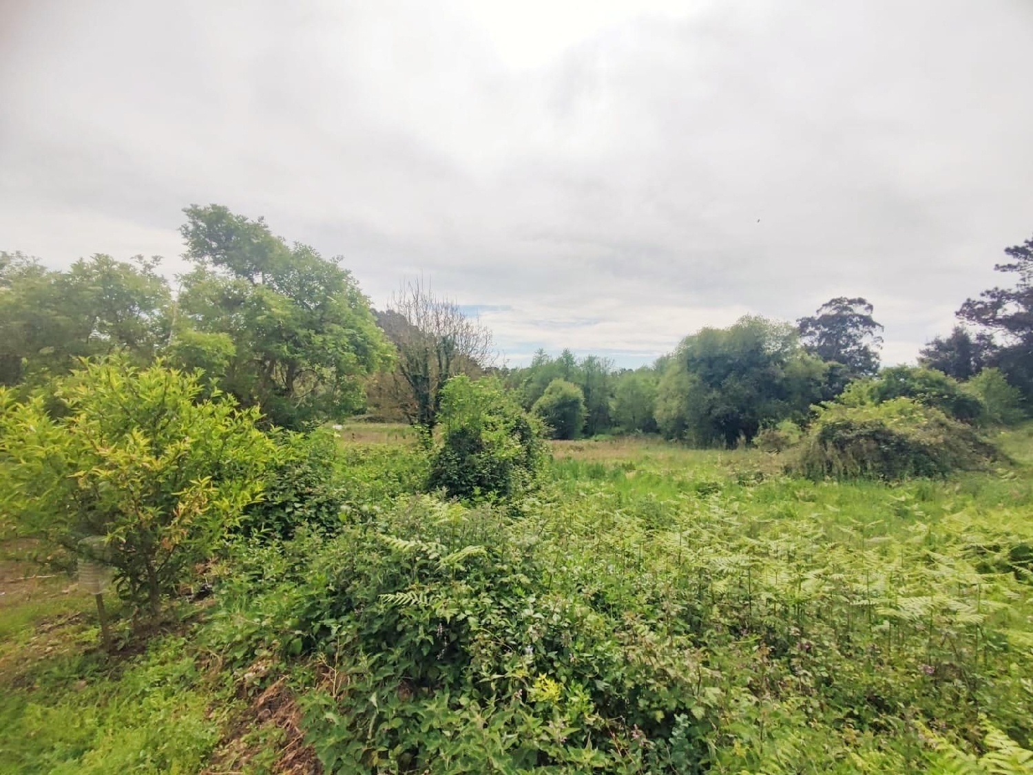  kaufen Haus Tapia De Casariego Eo-Navia 3