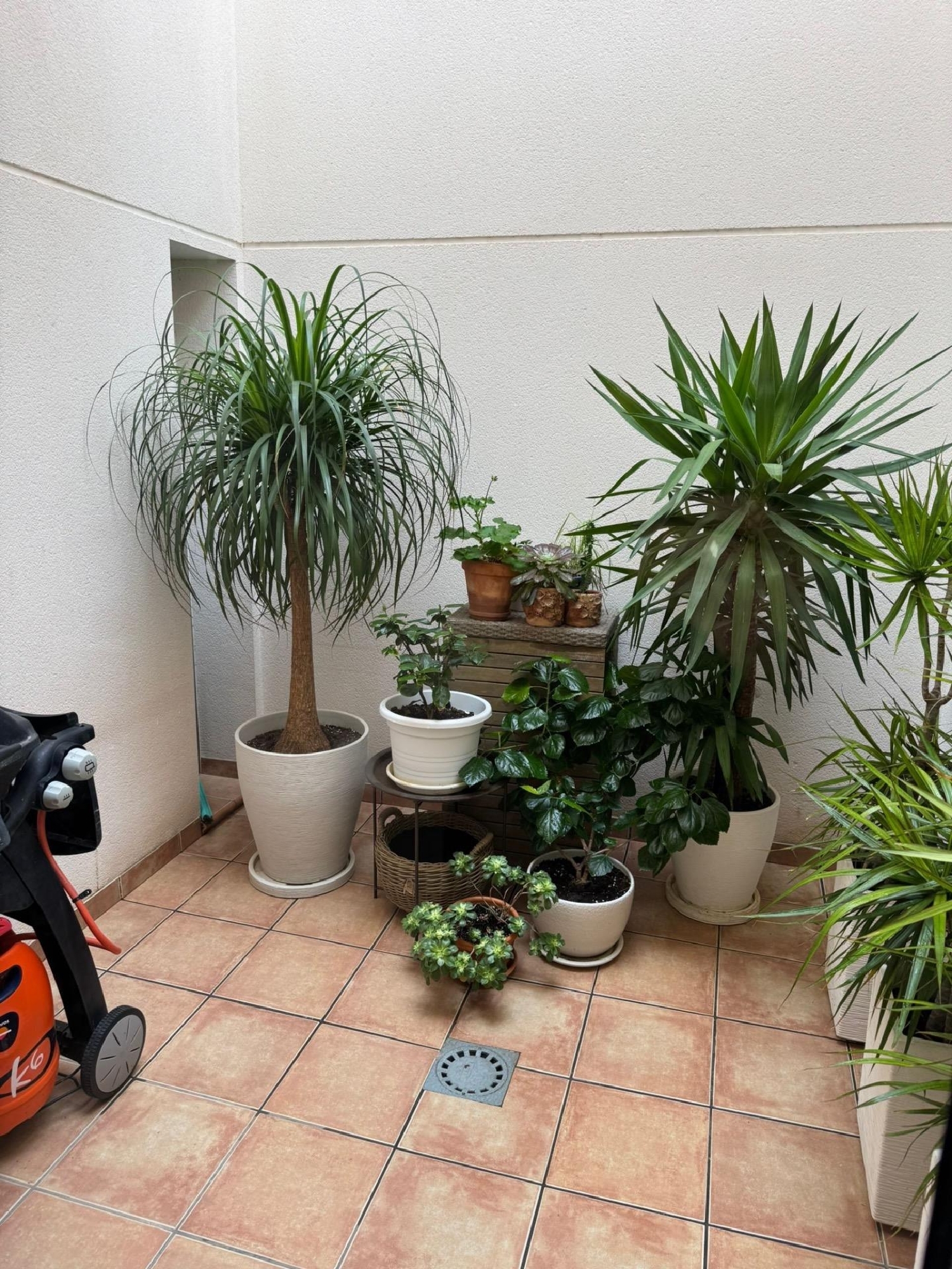 te koop huis Torrevieja Baix Segura 8