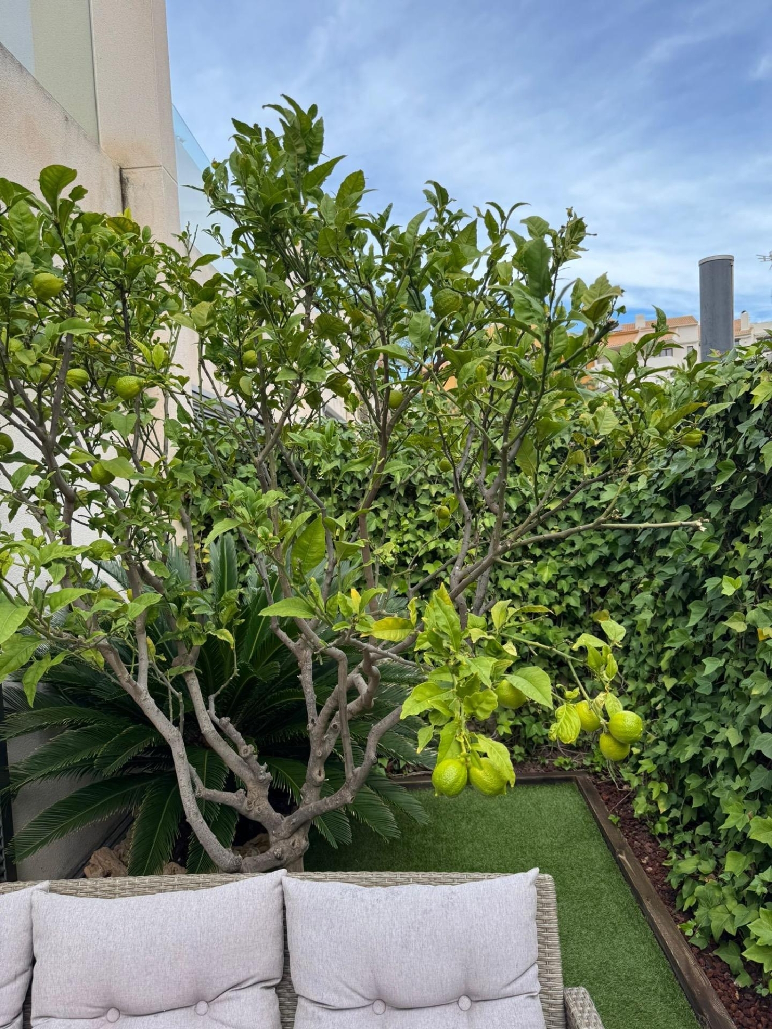 te koop huis Torrevieja Baix Segura 3