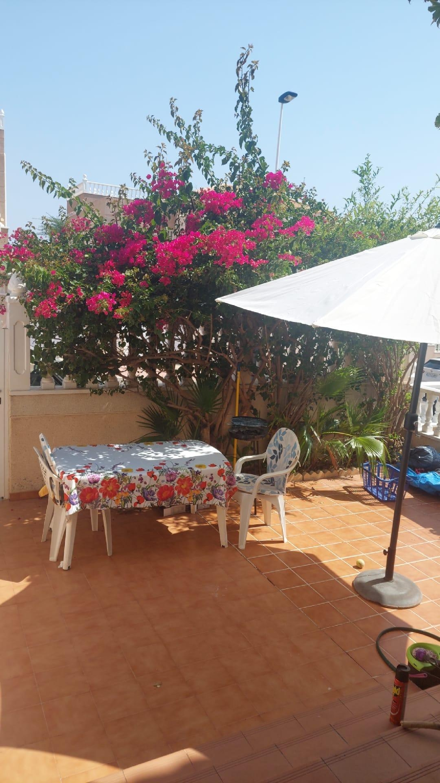  kaufen Haus Torrevieja Baix Segura 3