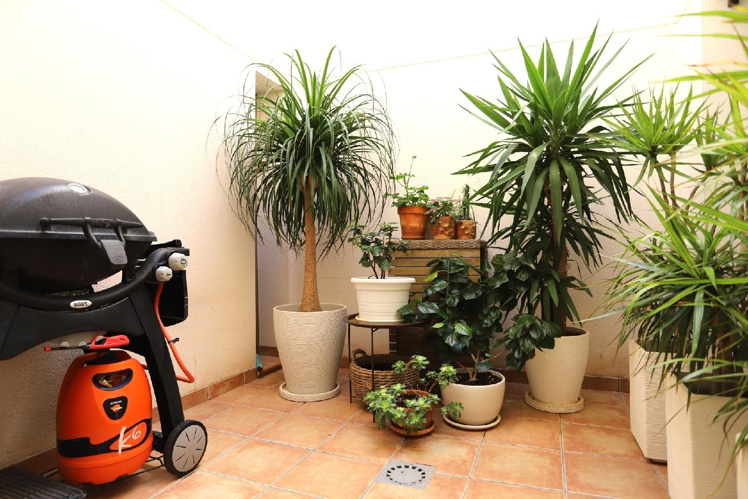  à vendre maison Torrevieja Baix Segura 9