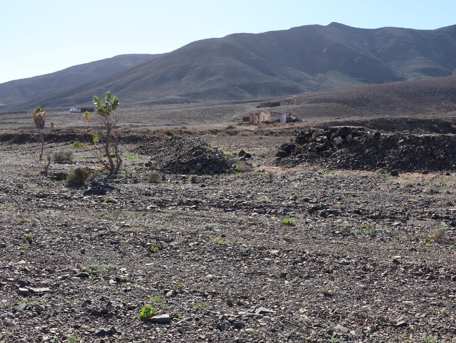  kaufen Haus Tuineje Tuineje 3