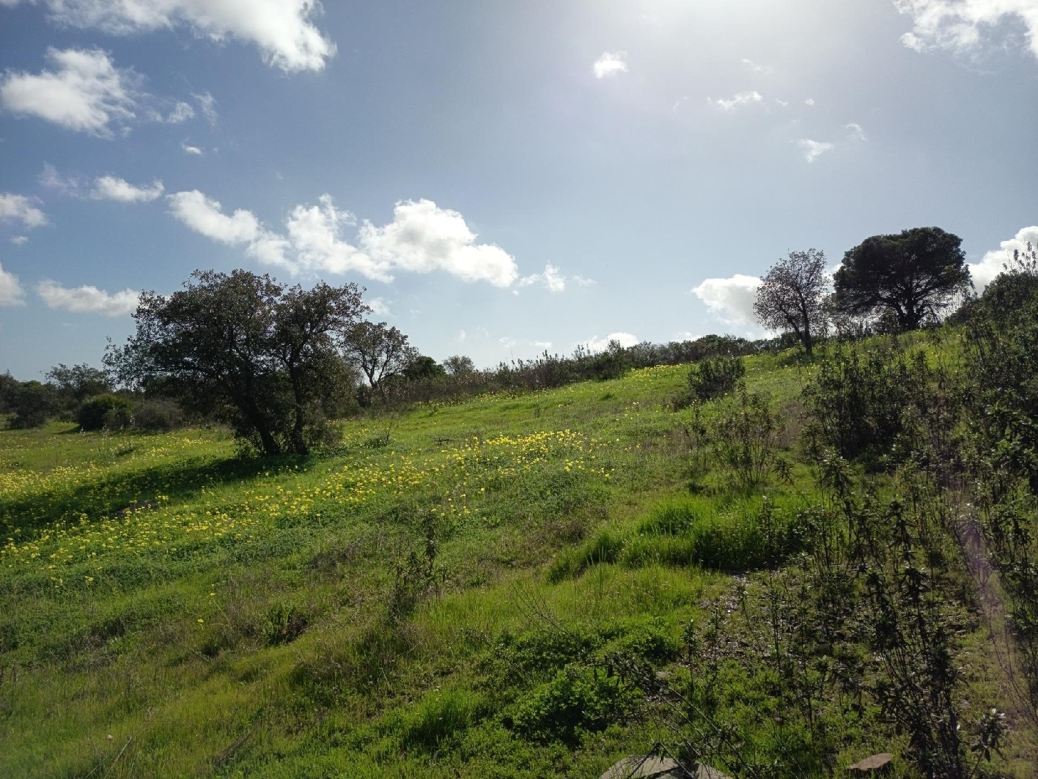  te koop huis Villablanca Costa Occidental 5