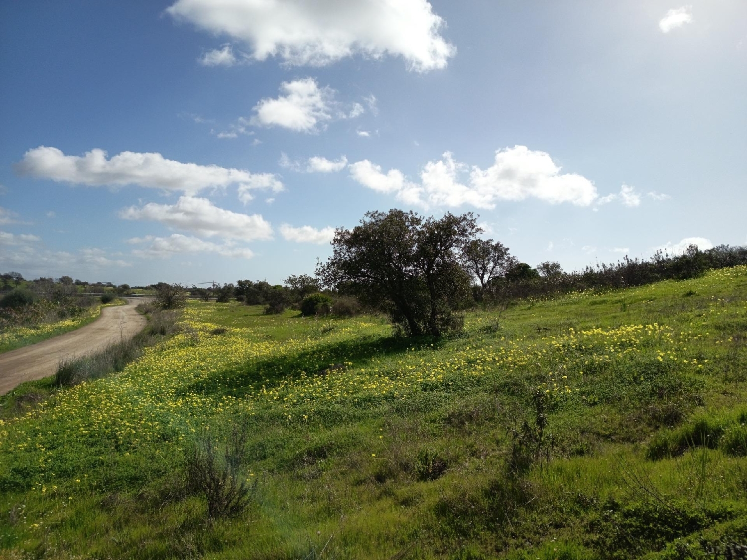  te koop huis Villablanca Costa Occidental 6