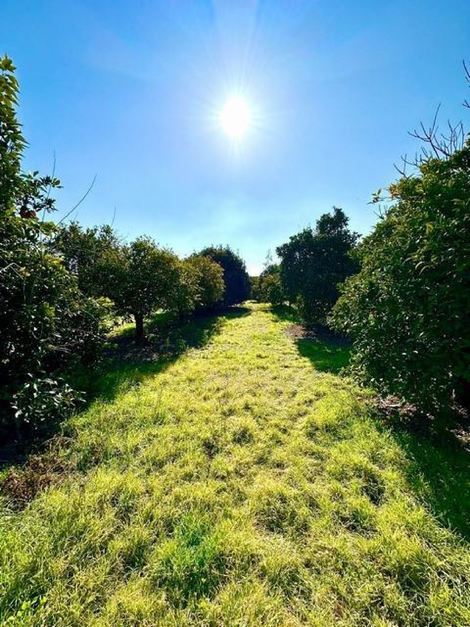  kaufen Haus Villafranca De Córdoba Alto Guadalquivir 8