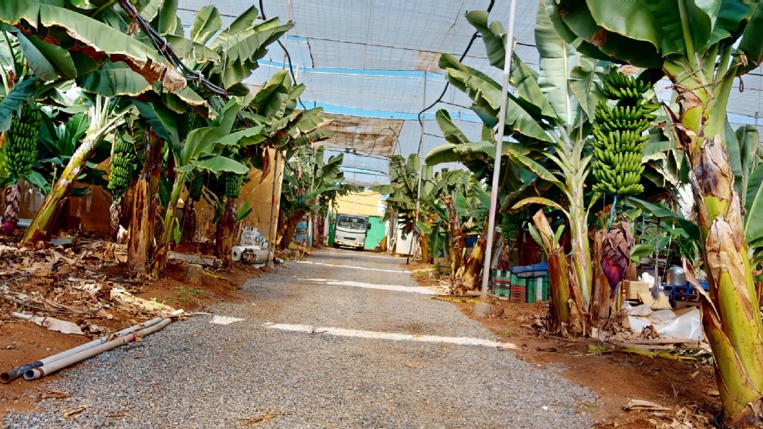  kaufen Herrenhaus Galdar Área Norte 4