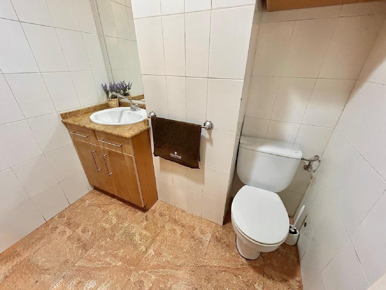  till salu kontor Orihuela Baix Segura 6