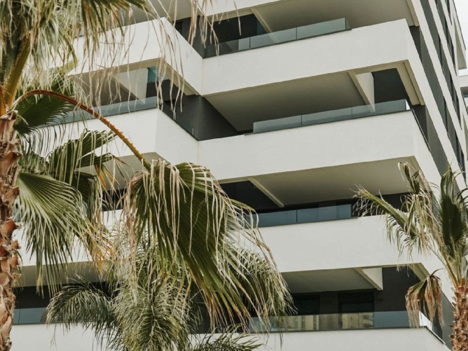  kaufen Penthouse Calpe Marina Alta 6