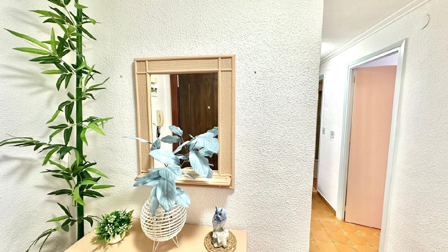  à vendre penthouse Torrevieja Baix Segura 7