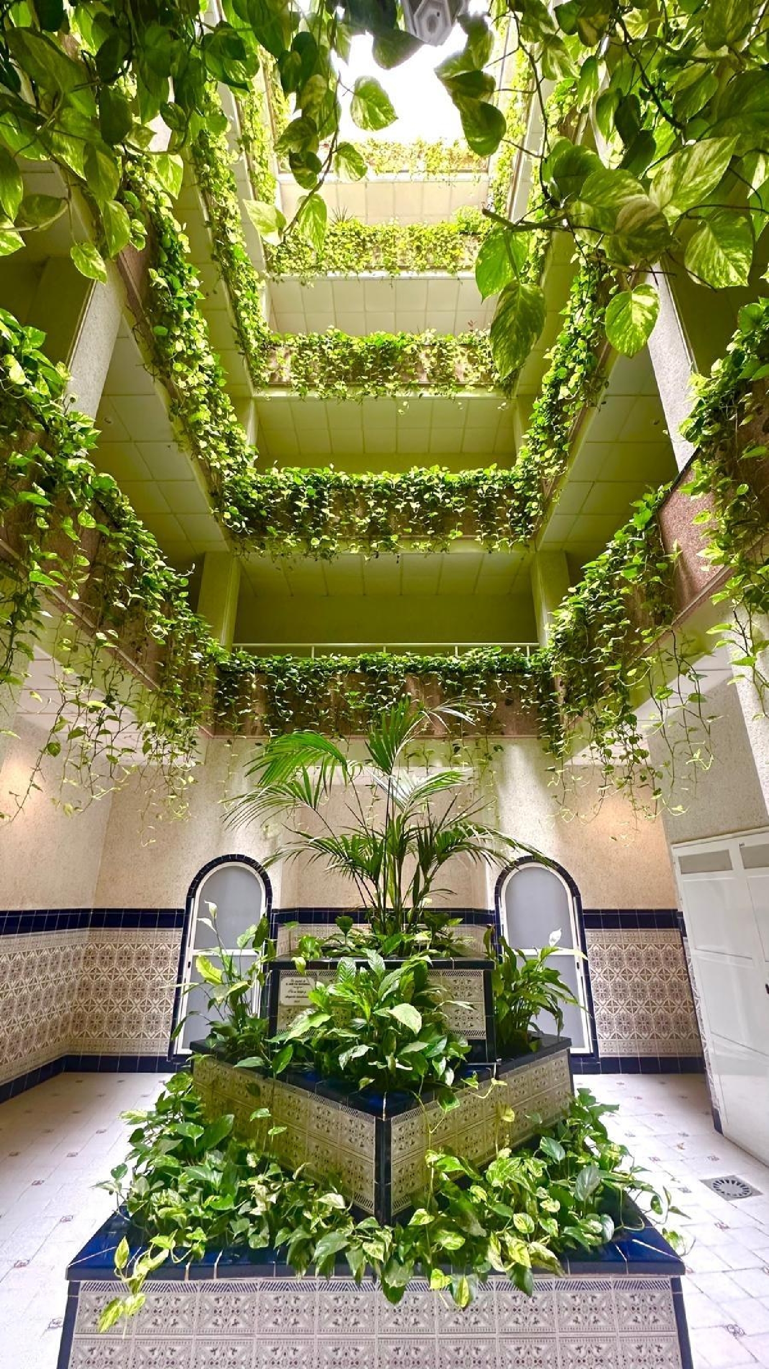  en venta ático Torrevieja Baix Segura 1