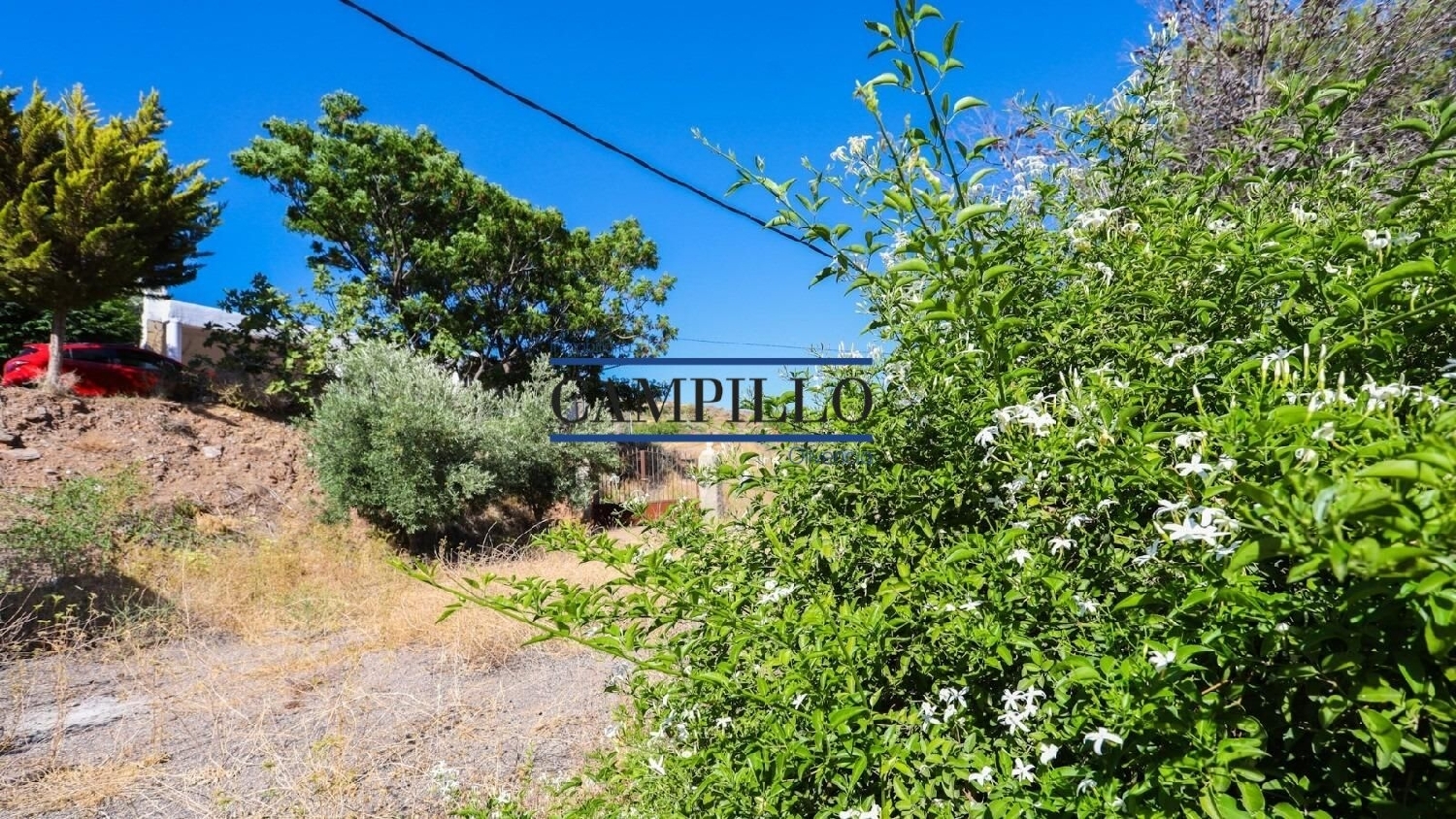  kaufen Grundstück Adrán Bergantiños 5