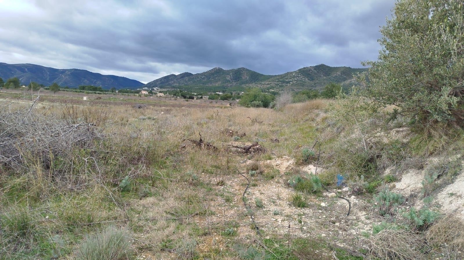  te koop perceel Aielo De Malferit Vall D'albaida 3