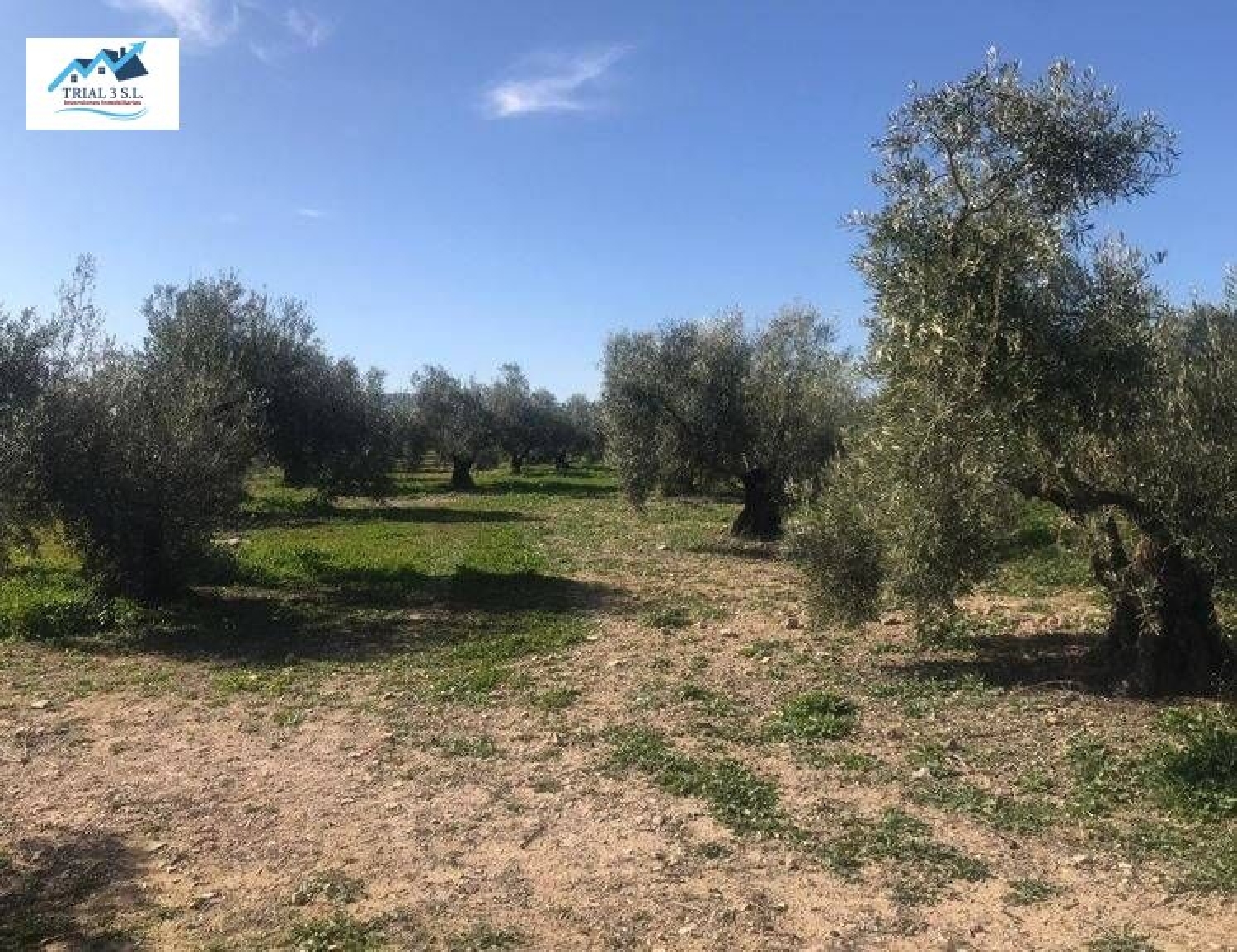  te koop perceel Alameda Del Mar D-1 Baix Segura 1