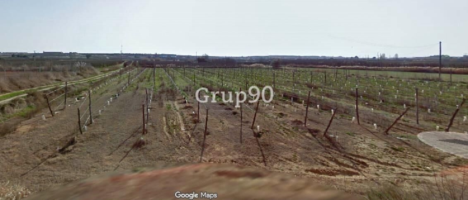  kaufen Grundstück Albatàrrec Segrià 4