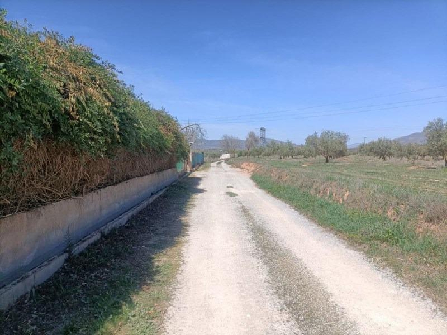  en venta terreno Albolote Vega De Granada 3