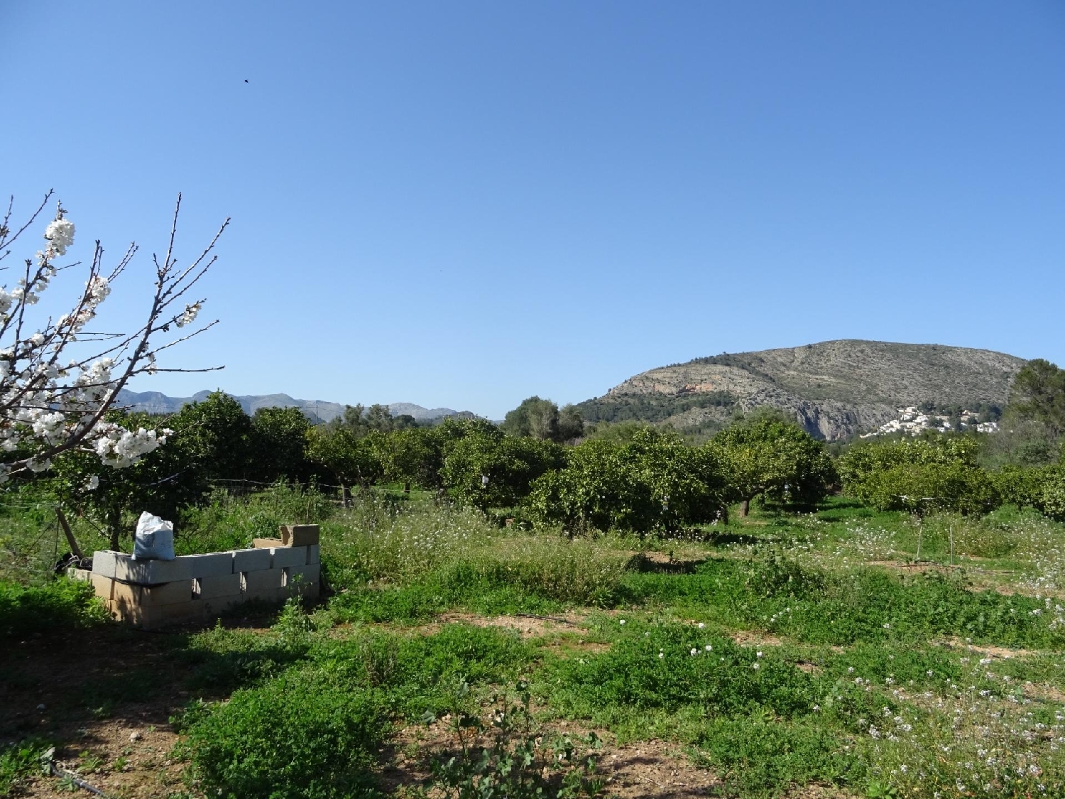  kaufen Grundstück Alcalalí Marina Alta 1