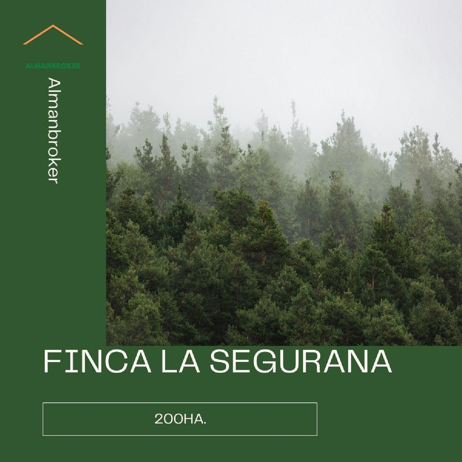  till salu tomt Almansa Monte Ibérico Almansa 1