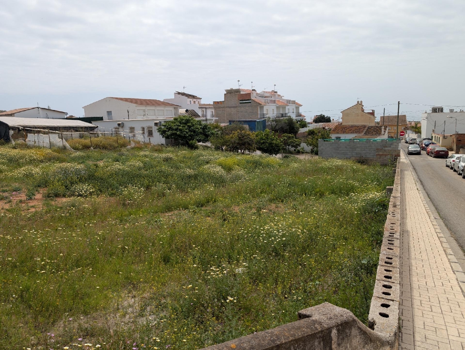  te koop perceel Almayate Alto Axarquía 2