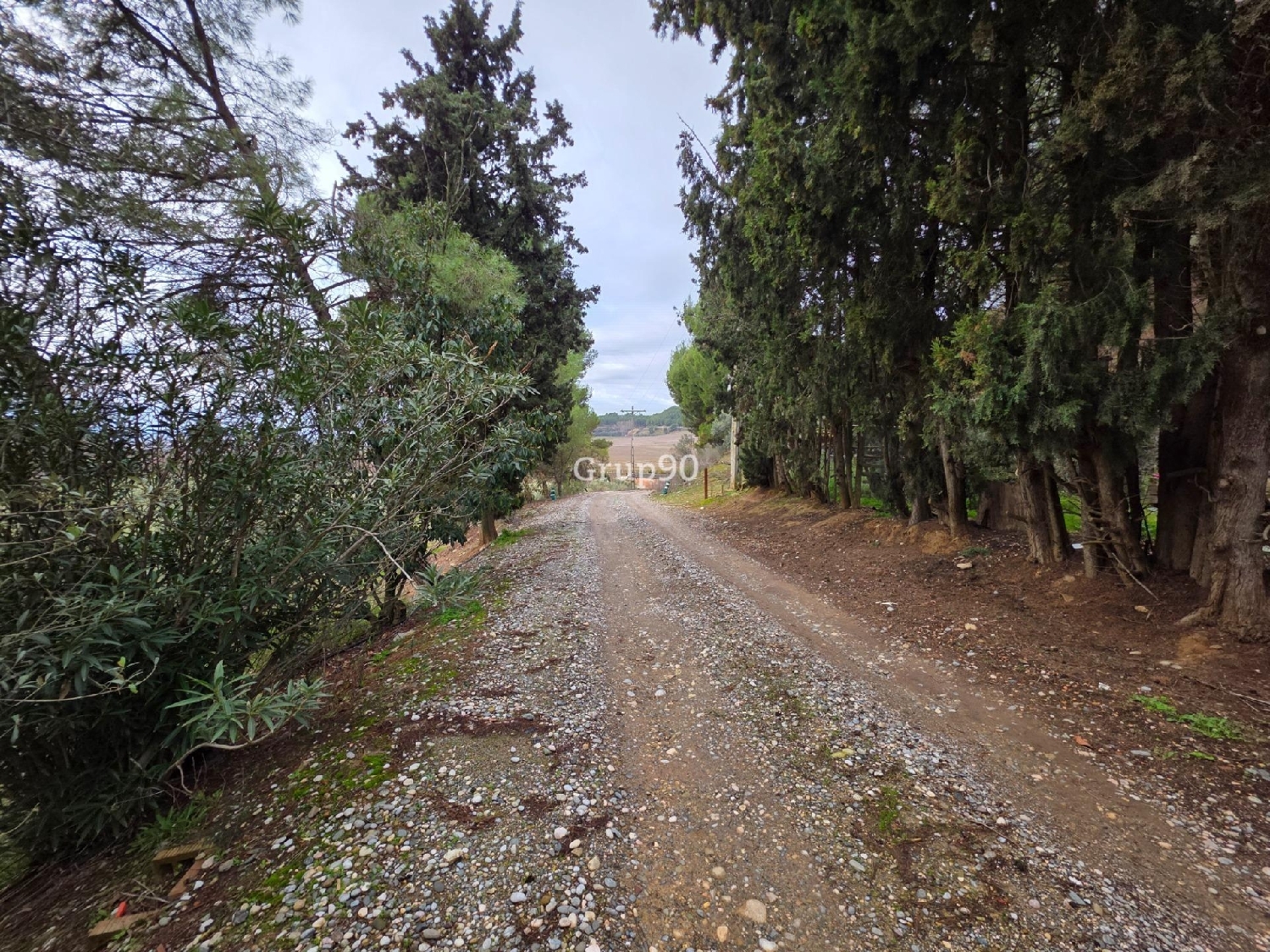  à vendre terrain Alpicat Segrià 3