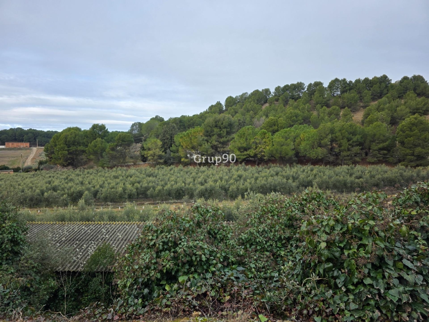  à vendre terrain Alpicat Segrià 7