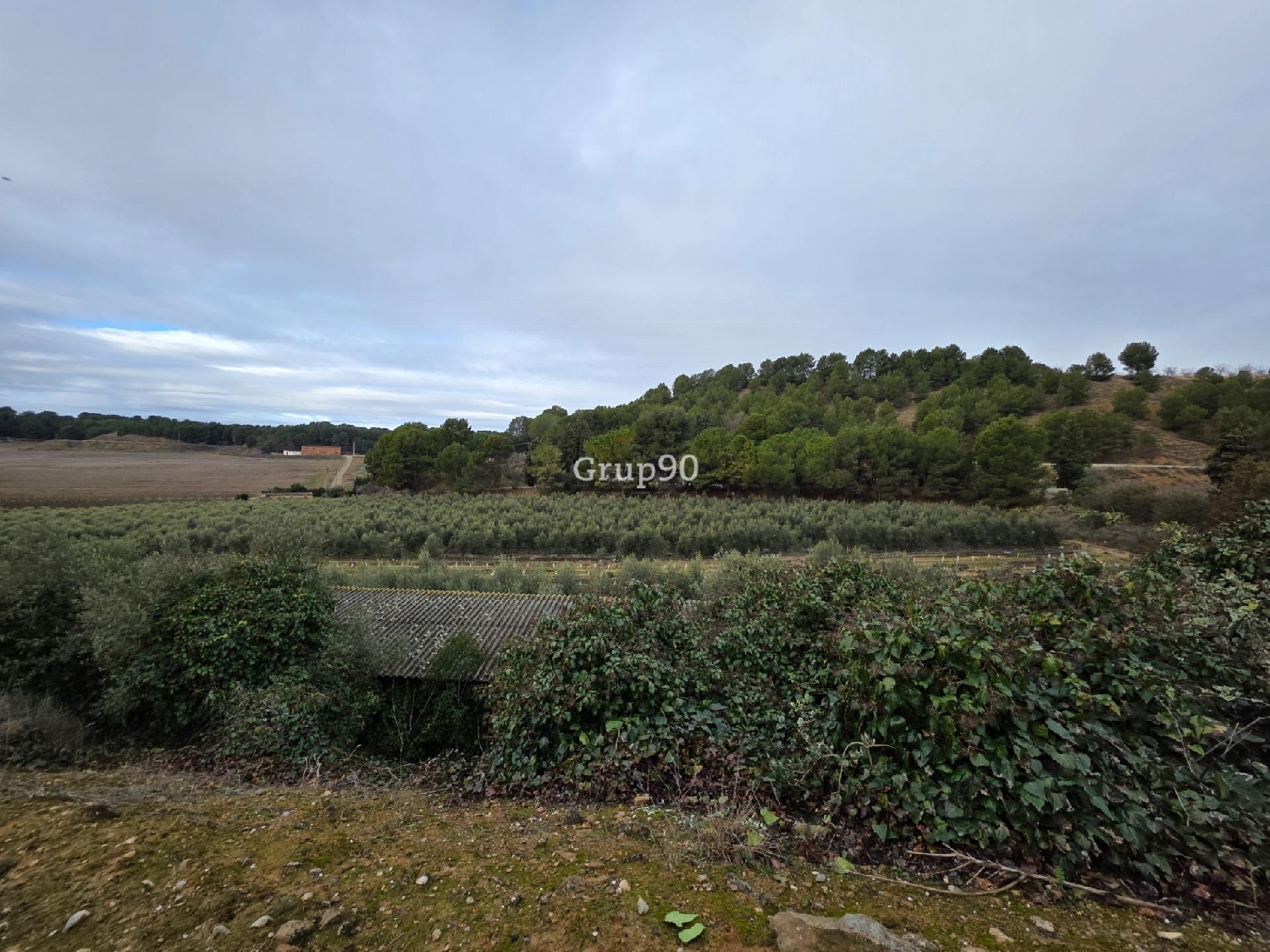  à vendre terrain Alpicat Segrià 8