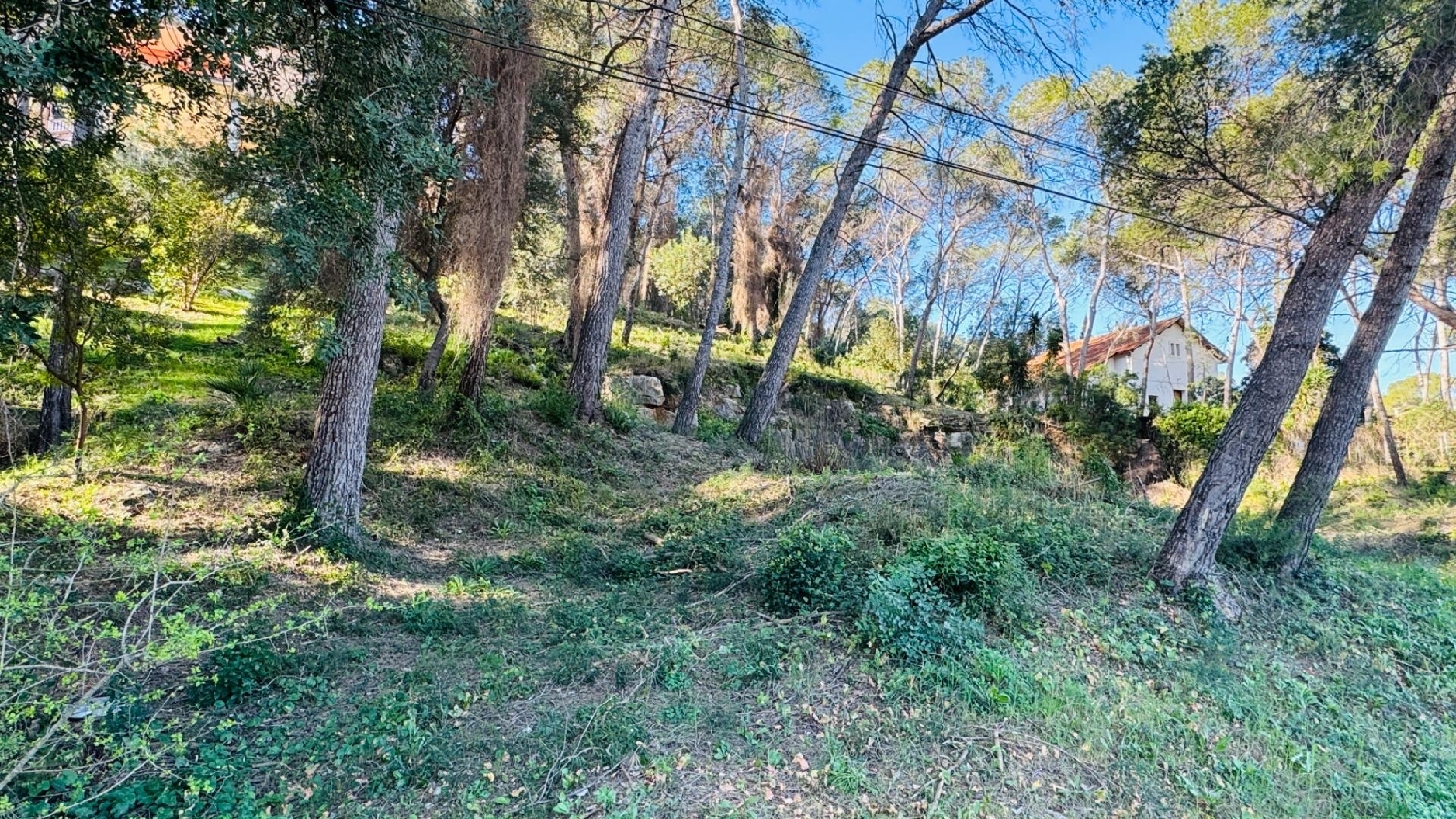  for sale plot Alzira Ribera Alta 4