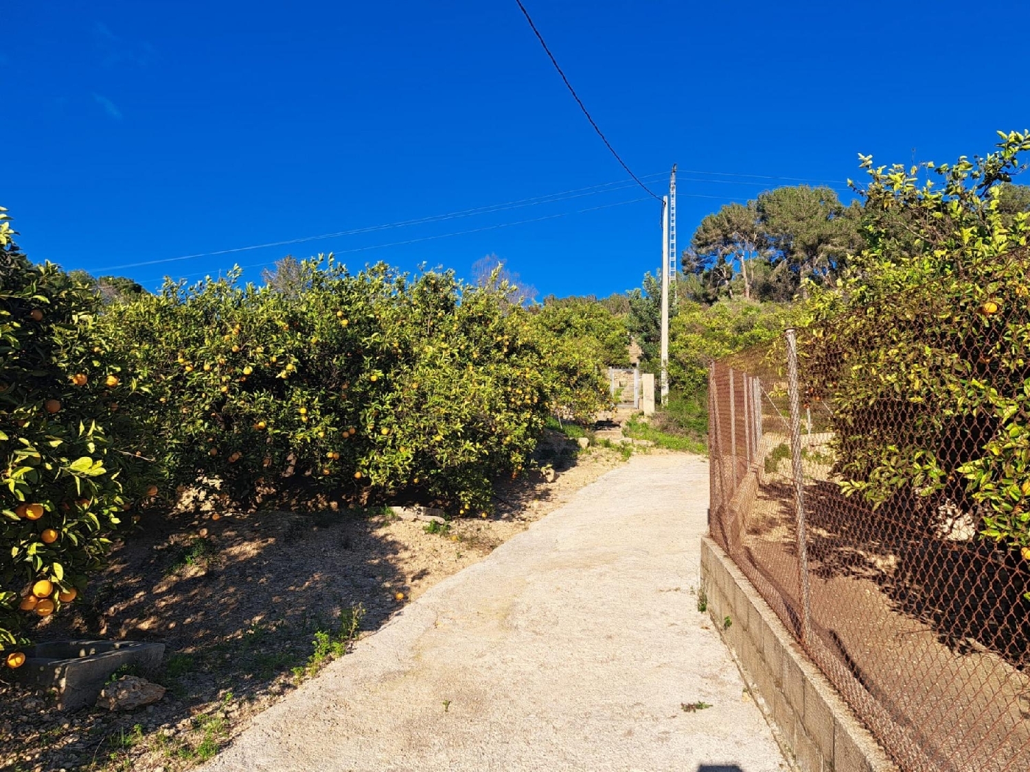  till salu tomt Alzira Ribera Alta 6