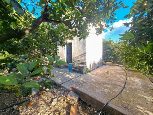 Alzira Ribera Alta tomt foto 6351771