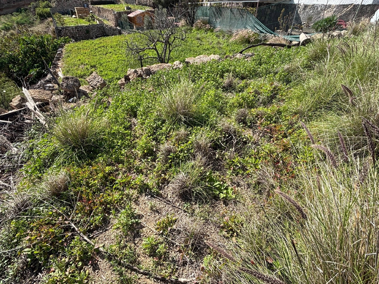  kaufen Grundstück Arafo Zona Sureste 8