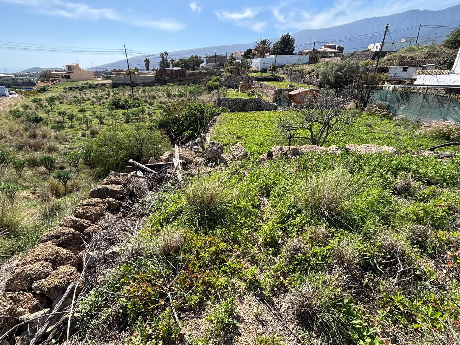  kaufen Grundstück Arafo Zona Sureste 6