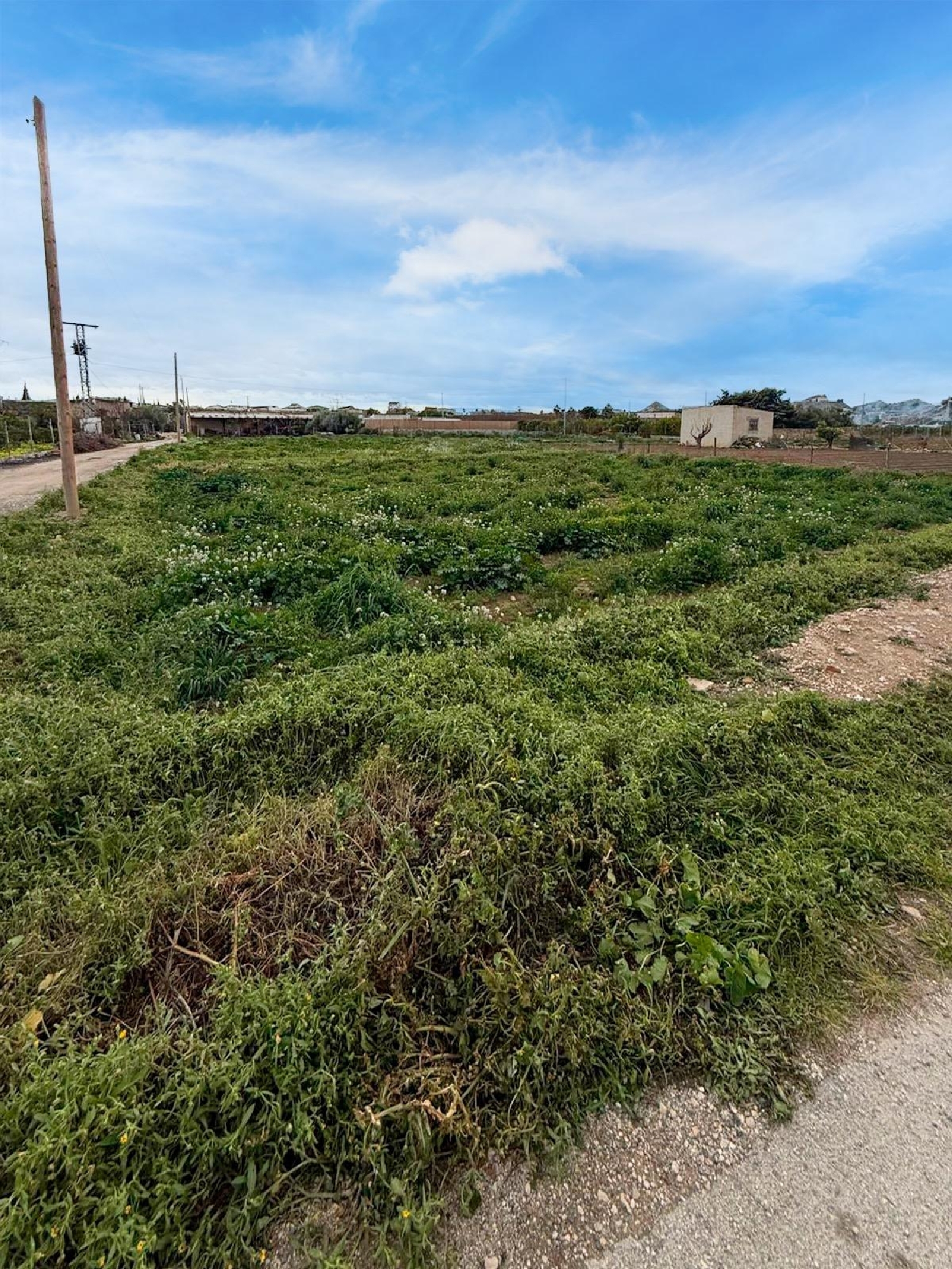 till salu tomt Archena Valle De Ricote 3