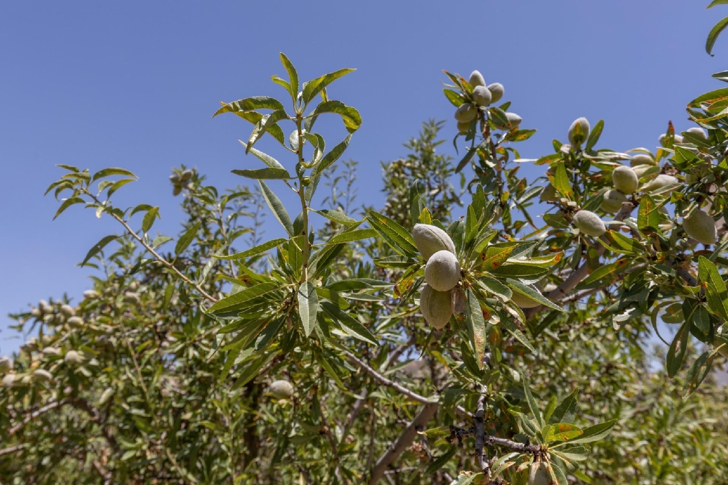  for sale plot Arenas Del Rey Alhama 7